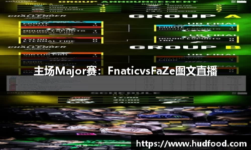 主场Major赛：FnaticvsFaZe图文直播